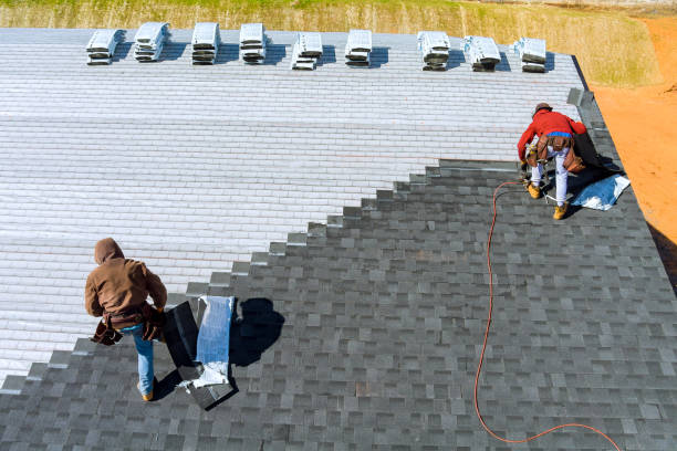 Best Emergency Roof Repair  in Wayland, MI