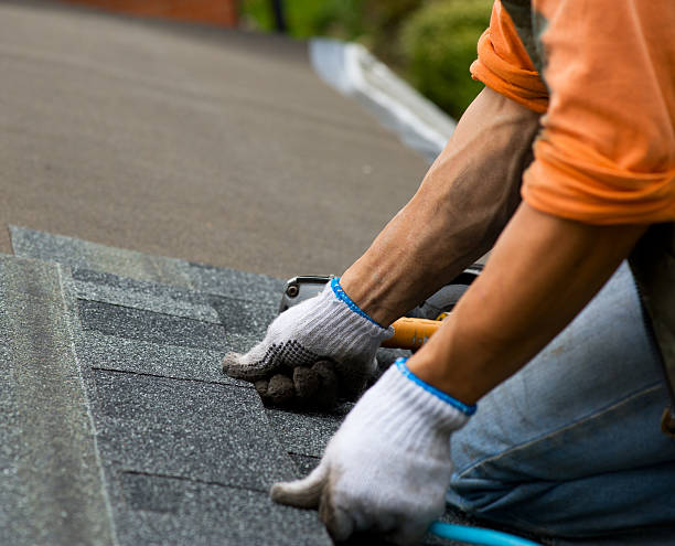 Trusted Wayland, MI Roofing Contractor Experts