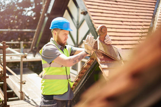 Best Roof Gutter Cleaning  in Wayland, MI
