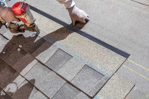 Best Roof Waterproofing Services  in Wayland, MI