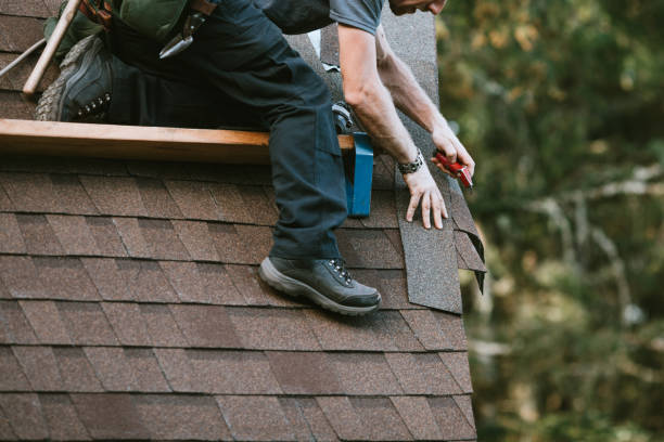 Best Roof Restoration Services  in Wayland, MI